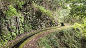 Levada dos Tornos