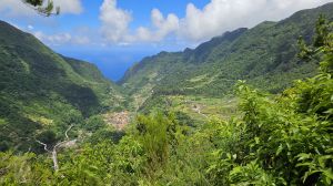 Levada dos Tornos