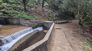Levada Faj� do Rodrigues