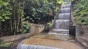 Levada Faj� do Rodrigues