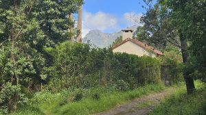 Levada Faj� do Rodrigues