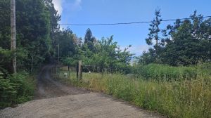 Levada Faj� do Rodrigues