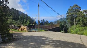 Levada Faj� do Rodrigues