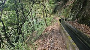 Levada Faj� do Rodrigues
