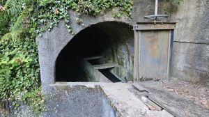 Levada Faj� do Rodrigues
