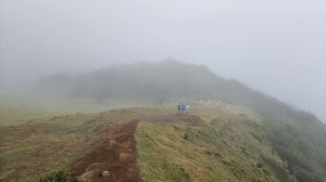 Fanal