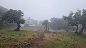 Fanal