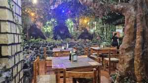 Restaurant Jungle Rain