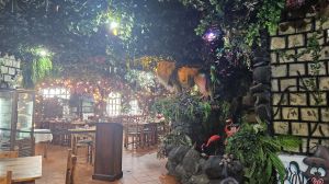 Restaurant Jungle Rain