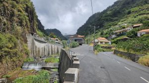 Tabua