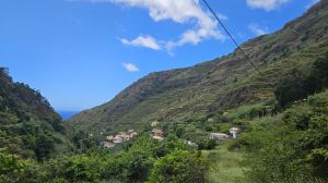 Tabua