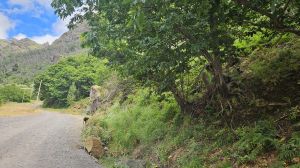 Serra de �gua