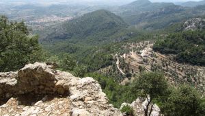 Puig d'Alar�