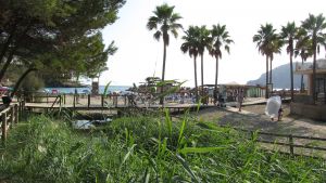 Camp de Mar