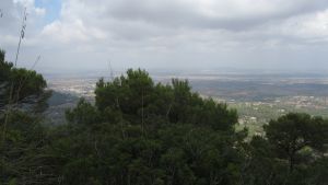Sant Salvador