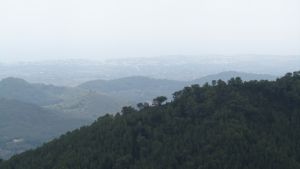 Sant Salvador