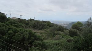 Puig de Randa
