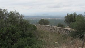 Puig de Randa