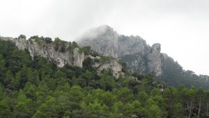 Lluc