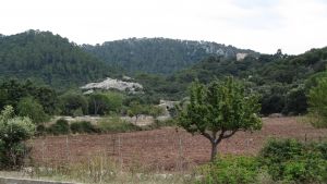 Lluc