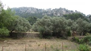 Col de S�ller