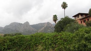Bunyola