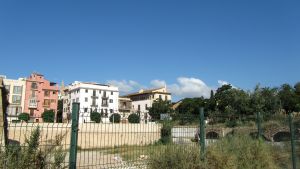 Palma