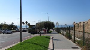 Palma