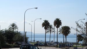 Palma