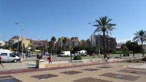 Palma