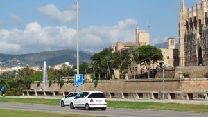 Palma