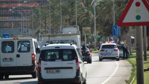 Palma