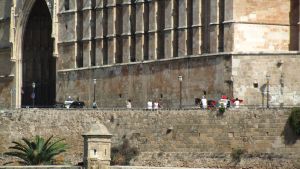 Palma