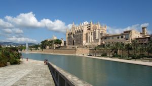 Palma