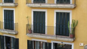Palma