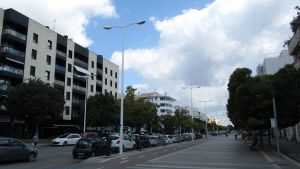 Palma