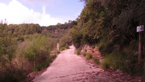 Mancor de la Vall