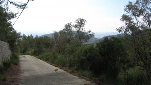 Mancor de la Vall