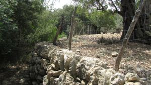 Mancor de la Vall
