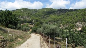 Mancor de la Vall