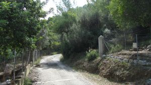 Mancor de la Vall