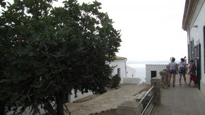 Formentor