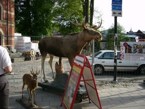 Ein paar Eindr�cke vom Volksfest in Norrt�lje.