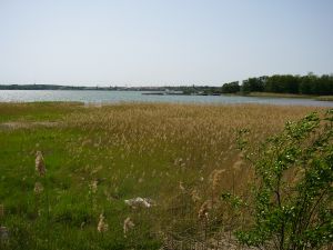 Auf der R�ckfahrt Blick vom Osten her auf die Str�nde von Mariehamn.
