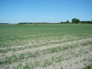 Schwedische Landschaft nur etwa eine Meile von Arlanda entfernt.