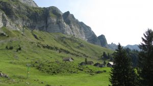 Schw�galp