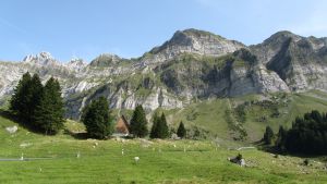 Schw�galp