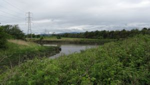 Falkirk