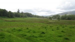 Callander