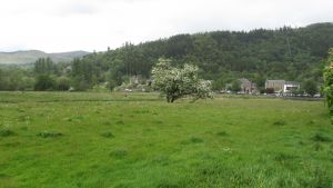 Callander